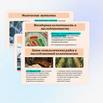 Презентация по биологии «Мутационная изменчивость» 10 класс (углубленный уровень)