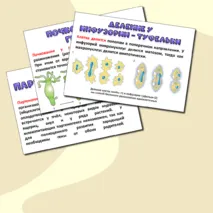 Презентация «Размножение и развитие животных». Биология 8 класс.