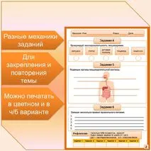 Рабочий лист по теме 