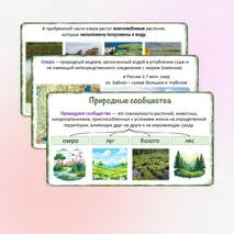 Презентация «Разнообразие природных сообществ», 5 класс
