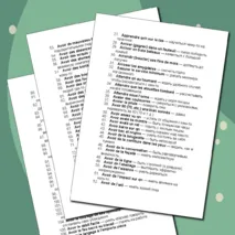 290 французских идиом с переводом. Выпуск 1