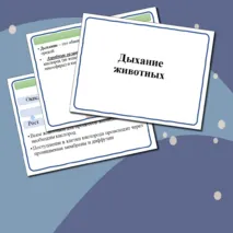 Презентация к уроку биологии 