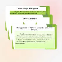 Презентация на тему 