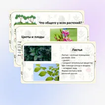Презентация «Что мы знаем о растениях? Что общего у разных растений?» по окружающему миру, 1 класс