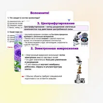 Презентация по биологии (10 класс) «История и методы изучения клетки. Клеточная теория» (В.В. Пасечник)