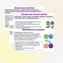 Презентация по биологии (10 класс) «История и методы изучения клетки. Клеточная теория» (В.В. Пасечник)