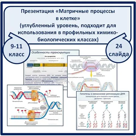 Презентация 