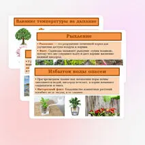 Презентация «Дыхание корня» 6 класс