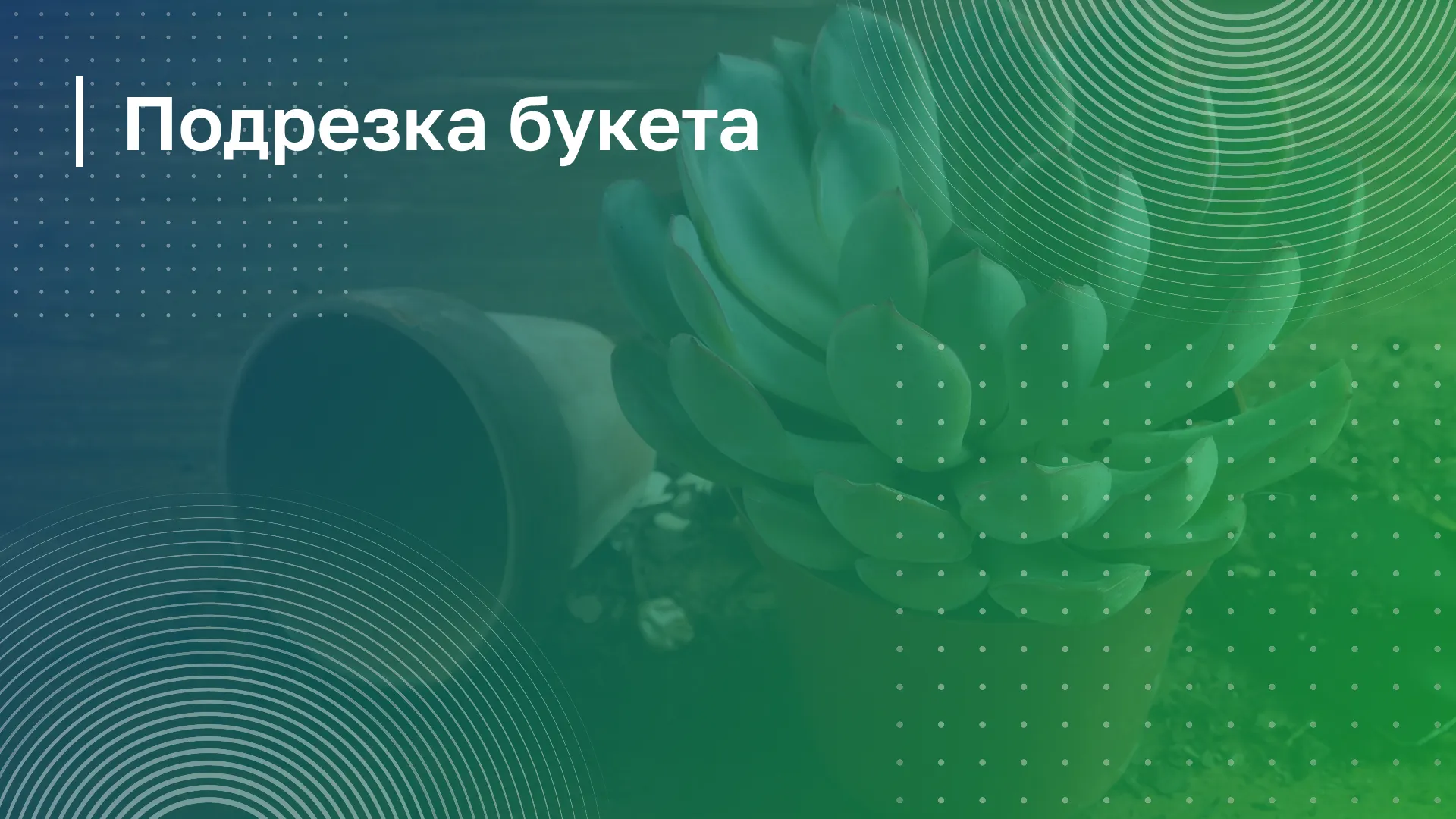 Обложка курса
