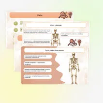Презентация 