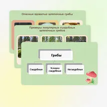 Презентация 
