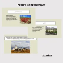 Природная зона Тундра, комплект к уроку (Презентация+рабочий лист). Окружающий мир (4 класс), Внеурочная деятельность 