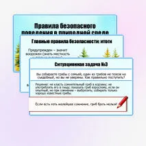 Презентация «Правила безопасного поведения в природной среде». ОБЗР. 9 класс