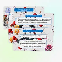 Презентация «Жиры: гидролиз, применение, биологическая роль жиров»