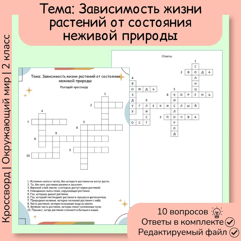 Кроссворд «Зависимость жизни растений от состояния неживой природы»