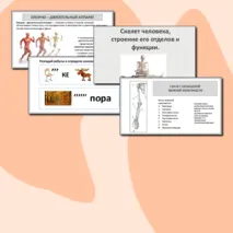 Презентация 