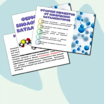 Презентация «Ферменты-биологические катализаторы». Биология 10 класс.