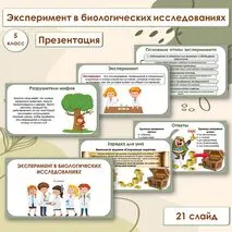 Презентация по биологии «Эксперимент в биологических исследованиях», 5 класс