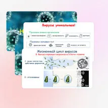 Презентация по биологии 
