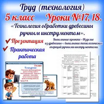 Презентация «Технология обработки древесины ручным инструментом. Выполнение проекта «Изделие из древесины»: выполнение технологических операций ручными инструментами». Труд (технология). 5 класс. Уроки 17-18.
