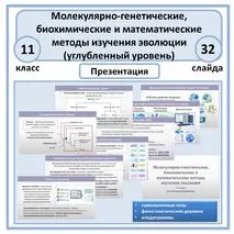Презентация «Молекулярно-генетические, биохимические и математические методы изучения эволюции» 11 класс (углубленный уровень)