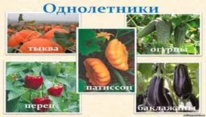 "Нажмите, для просмотра в полном размере..." http://collegy.ucoz.ru/_ld/40/s49101805.jpg
