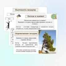 Презентация 