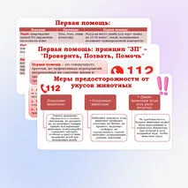 Презентация по ОБЗР 