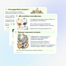 Презентация по обществознанию «Социальный контроль» 11 класс | социальные нормы, санкции, самоконтроль, углублённый уровень