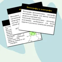 Презентация по биологии на тему 