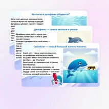 Презентация «Всемирный день китов и дельфинов»
