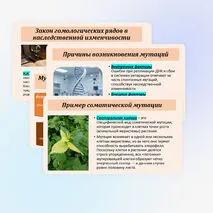 Презентация по биологии «Мутационная изменчивость» 10 класс (углубленный уровень)