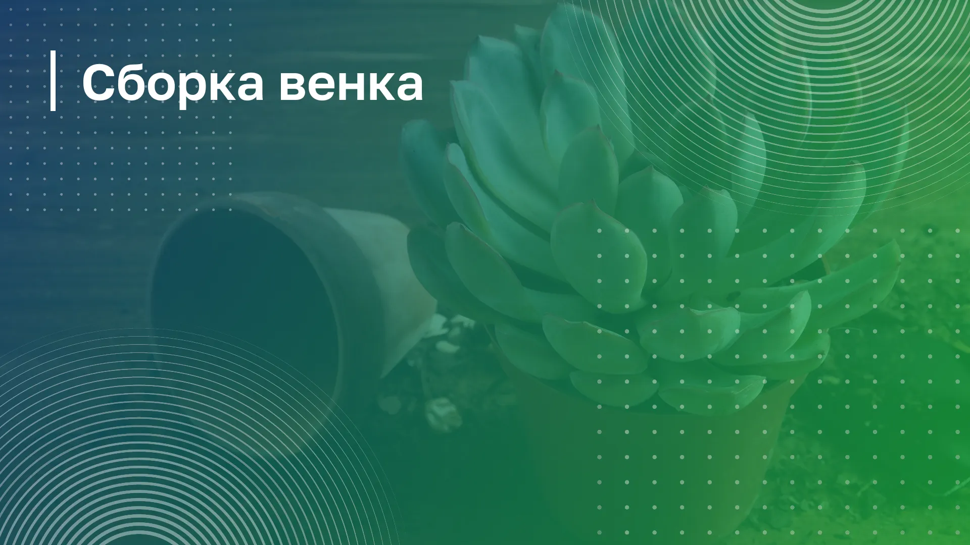 Обложка курса