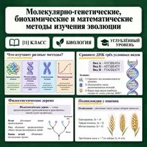 Презентация 