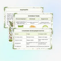 Презентация по биологии «Растительные ткани, их функции»