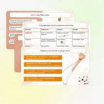Презентация 