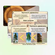 Презентация «Виды и свойства конструкционных материалов. Древесина. Практическая работа 