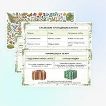 Презентация по биологии «Растительные ткани, их функции»
