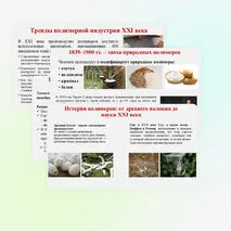 Презентация 