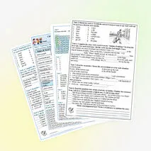 Culture Exchanges. Vocabulary Worksheet (лексические упражнения к учебнику Spotlight 8, Module 6)
