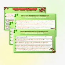 Презентация по ОБЗР по теме: «Правила безопасного поведения в природной среде». 9 класс.