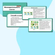 Презентация «Жизнедеятельность клетки». Биология 6 класс