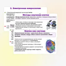 Презентация по биологии (10 класс) «История и методы изучения клетки. Клеточная теория» (В.В. Пасечник)