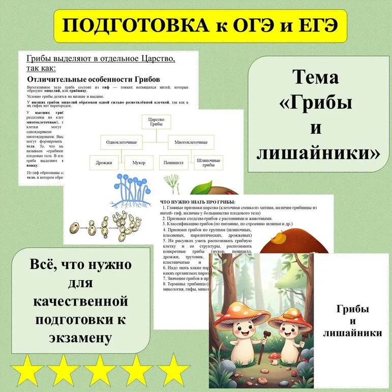 Презентация 