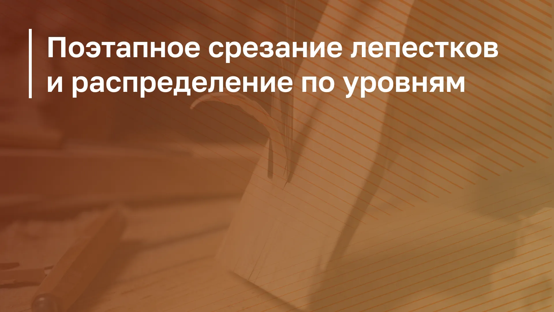 Обложка курса
