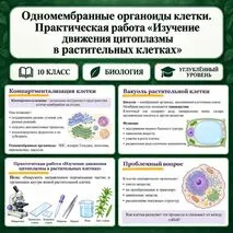 Презентация 