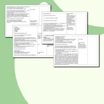 Конспект индивидуального коррекционно-развивающего занятия на развитие памяти 