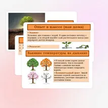 Презентация «Дыхание корня» 6 класс