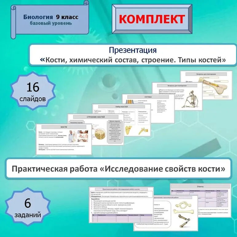 Презентация 