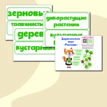 Дидактическая игра 